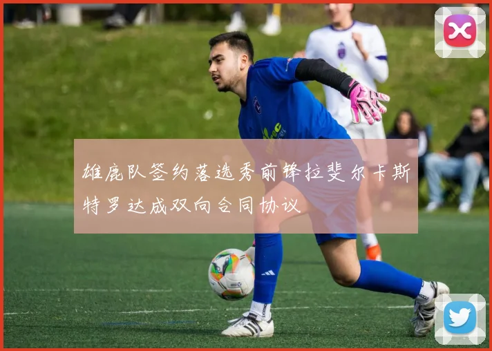 雄鹿队签约落选秀前锋拉斐尔卡斯特罗达成双向合同协议